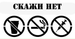 Фотография Федорова Елена