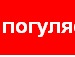 Васьок Сніжко фотография #47 (источник - https://vk.com/id142124569)