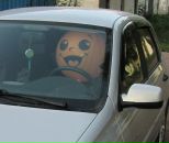 Фотография Ахметшина Ришата