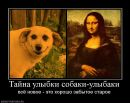 Віталік Вольт фотография #42 (источник - https://vk.com/id2228781)