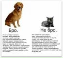 Олексій Грушник фотография #45 (источник - https://vk.com/id6071693)