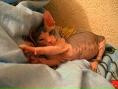 Фотография Марценюк Светланы