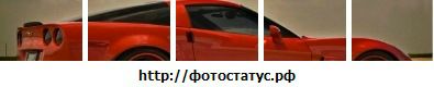 Фотография Виктор Мусалов