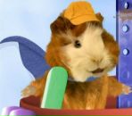 Фотография Королева Ивана