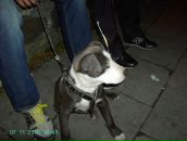 Сергій Куденчук фотография #50 (источник - https://vk.com/id81922418)