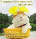 Фотография Гурьевой Наташи