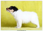 Фотография Выграновской Виктории