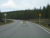 Фотография Скабиной Танечки