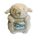 Овца Белая фотография #14 (источник - https://vk.com/id4406024)