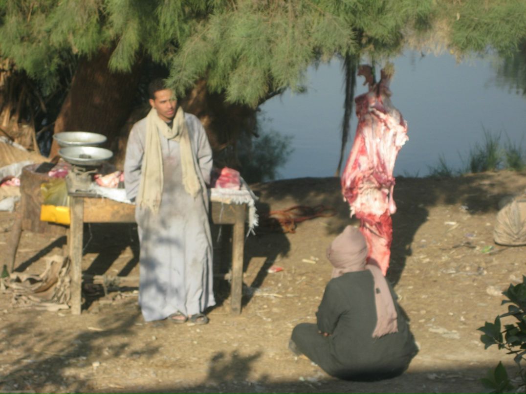 Михаил Авдеев фотография #36