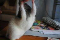 Фотография Андреевой Нади