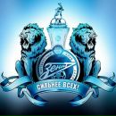 Фотография Дубровцева Дмитрия