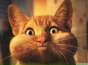 Иван Юрьевич фотография #47 (источник - https://vk.com/id9242685)