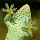 Atomic Cloud фотография #23 (источник - https://vk.com/id2376088)