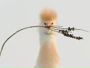 Фотография Зеликова Олега