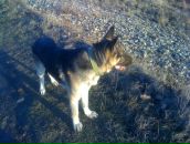 Тарас Савчій фотография #18 (источник - https://vk.com/id24895864)