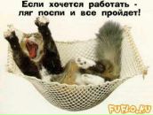 Фотография Афанасьевой Юлии