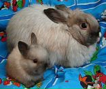 Фотография Александровой Натальи