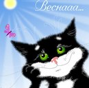 Вікуля Кільдєєва фотография #34 (источник - https://vk.com/id146794098)