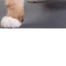 Антон Коваль фотография #43 (источник - https://vk.com/id152000495)