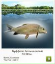 Сергій Тимків фотография #18 (источник - https://vk.com/id56049737)