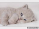 ♥алёнчик♥ *** фотография #7 (источник - https://vk.com/id137196584)