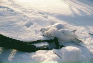 Девид Паркер фотография #9 (источник - https://vk.com/id4767619)