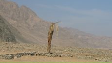 Фотография Божко Светлана