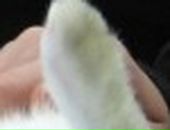 Олександр Андрієнко фотография #34 (источник - https://vk.com/id23256022)