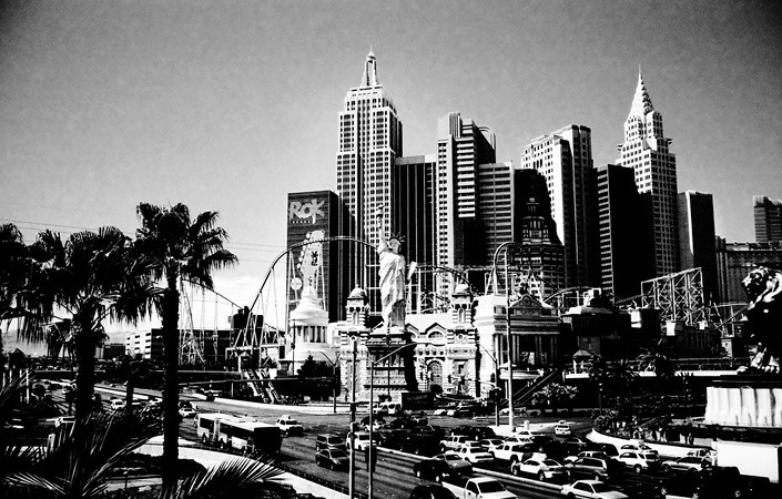 Дмитрий Шеин фотография #26