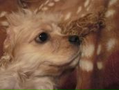 Фотография Глушнева Александра