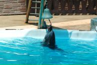 Фотография Топурии Валентины