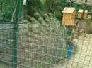 Марічка Цвірчак фотография #4 (источник - https://vk.com/id133377693)