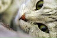 Фотография Воробьёвой Анастасии