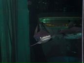 Фотография Семенова Владимира