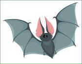 Фотография Фроловой Анастасии