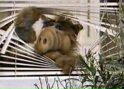 Фотография Плотицына Петра