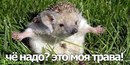 Андрій Мудрик фотография #17 (источник - https://vk.com/id162296727)