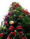 Фотография Вылегжаниной Лены