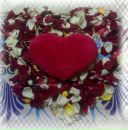 Фотография Нестеровой Аллочки