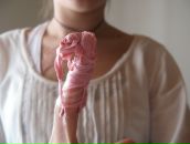 Фотография Мариновой Евгении