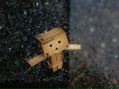 Фотография Попова Владимира