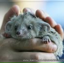 Фотография Мухаметшина Венера