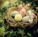 Юлія Воробйова фотография #32 (источник - https://vk.com/id118228668)