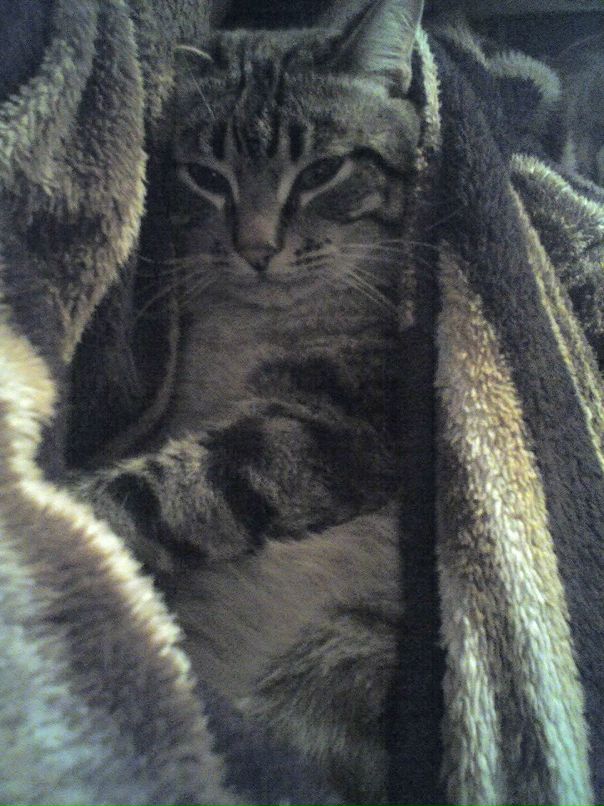 Дмитрий Михайлов фотография #23