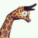 Фотография Каюмовой Екатерины