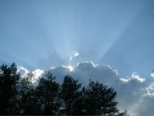 Фотография Костицыной Наталии