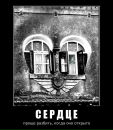 Димон Мамка фотография #32 (источник - https://vk.com/id148219300)