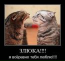 Рома Тимофеєв фотография #28 (источник - https://vk.com/id20830054)