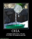 Фотография Марченко Александра